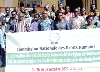 Protection des droits humains: des acteurs du Sud-Ouest s’arment davantage