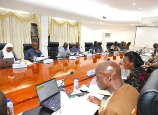 Campagne agricole sèche 2022-2023 : Un plan opérationnel de 10 milliards FCFA adopté par le Conseil des ministres