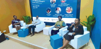 27e conférence sur le climat : les systèmes alimentaires africains en débat