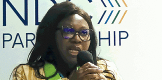 Adaptation aux effets du changement climatique: le Burkina Faso partage ses expériences à la COP