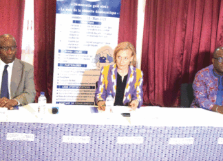 Processus démocratique au Burkina: le NDI veut montrer « la voie de la réussite »