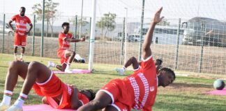 Etalons/Eléphants : Velud lance les couleurs