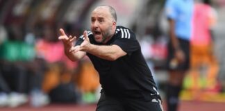 Coupe du monde 2022 : Le sélectionneur algérien Djamel Belmadi ne soutient que le Maroc et la Tunisie