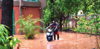 Changements climatiques : il faut adapter notre agriculture