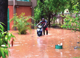 Changements climatiques : il faut adapter notre agriculture
