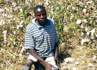 Entrepreneuriat agricole dans le Tuy : les exploits des personnes en situation de handicap