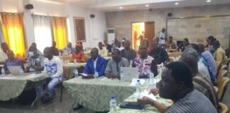 Exploitation minière artisanale : Un projet pour promouvoir la filière des « Minéraux du développement »