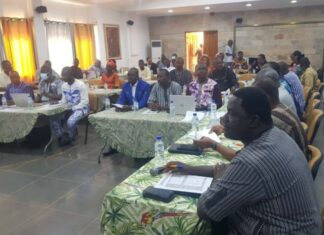 Exploitation minière artisanale : Un projet pour promouvoir la filière des « Minéraux du développement »