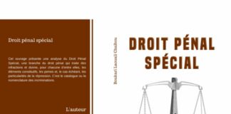 Droit pénal spécial : Le regard de Boukari Laouali Chaibou