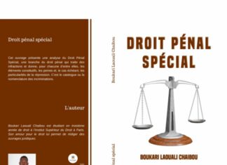 Droit pénal spécial : Le regard de Boukari Laouali Chaibou