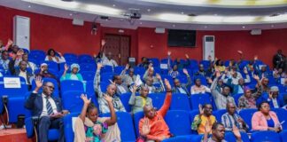 ALT : Les députés ont adopté à l’unanimité le projet de loi instituant les Volontaires pour la défense de la patrie.