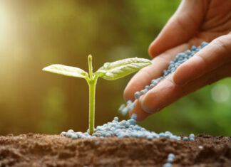 Fertilisant agricole : la CAIMA ambitionne de constituer un stock de sécurité de 100 000 tonnes d’engrais pour alimenter la production nationale