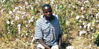 Entrepreneuriat agricole dans le Tuy: les exploits des personnes en situation de handicap