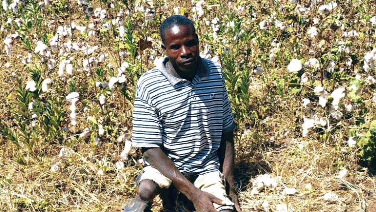 Entrepreneuriat agricole dans le Tuy: les exploits des personnes en situation de handicap