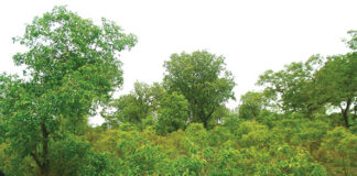 Barrage de Ouéssa : le projet piétine