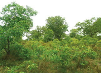 Barrage de Ouéssa : le projet piétine