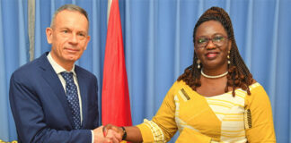 Lutte contre le terrorisme : « Nos FDS et VDP sont le Wagner du Burkina », Olivia Rouamba, ministre des Affaires étrangères