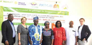 Programme BENKADI : le comité de pilotage en concertation