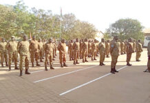Gendarmerie nationale : 201 officiers et sous-officiers décorés