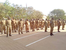 Gendarmerie nationale : 201 officiers et sous-officiers décorés
