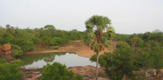 Bénin-Burkina : le sacrifice des espaces protégés au profit des ressources minières