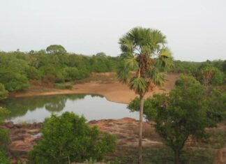 Bénin-Burkina : le sacrifice des espaces protégés au profit des ressources minières