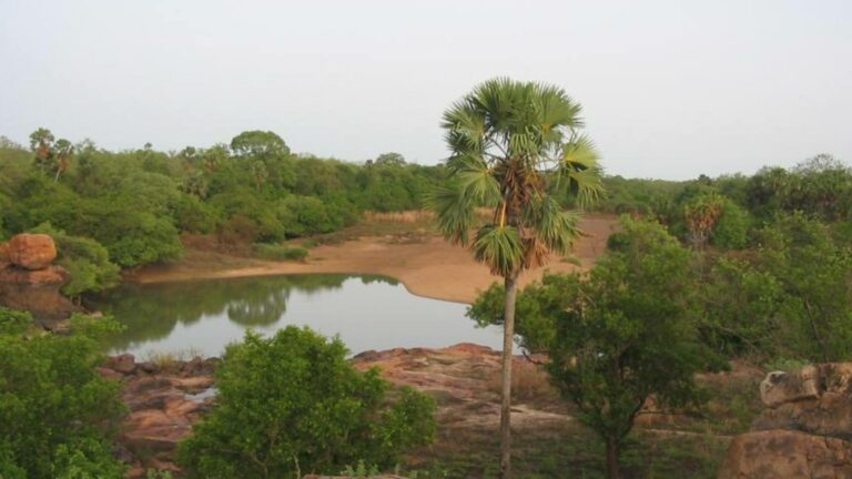 Bénin-Burkina : le sacrifice des espaces protégés au profit des ressources minières