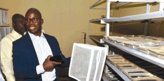 Insectarium de Bobo-Dioulasso : l’ «usine » de production des mouches tsé-tsé