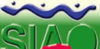 16e édition du SIAO : Le travail commence à 7h30 et finit à 14h à Ouagadougou