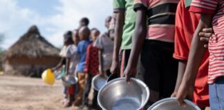 Sahel : L’ONU s’inquiète de l’aggravation de l’insécurité alimentaire