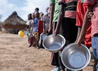 Sahel : L’ONU s’inquiète de l’aggravation de l’insécurité alimentaire