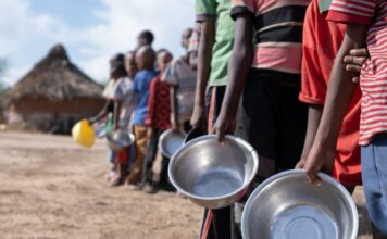 Sahel : L’ONU s’inquiète de l’aggravation de l’insécurité alimentaire