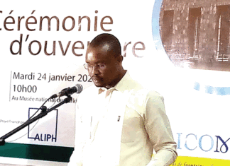 Protection des musées au Burkina Faso et au Mali : la réflexion est lancée