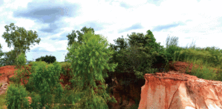 Carrières de sable de Borodougou: Quand l’Etat se désengage d’un désastre environnemental