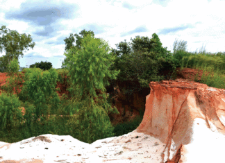 Carrières de sable de Borodougou: Quand l’Etat se désengage d’un désastre environnemental