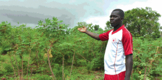 Retour des diplômés à la terre : un choix gagnant