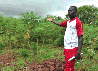 Retour des diplômés à la terre : un choix gagnant
