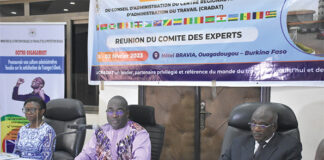 Centre régional africain d’administration du travail : les experts en conclave