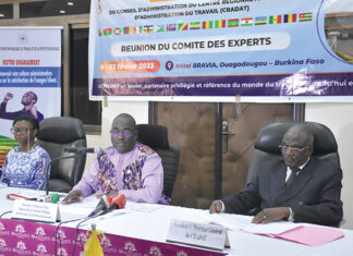 Centre régional africain d’administration du travail : les experts en conclave
