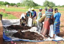Production du compost au Yatenga : vers une agriculture biologique et durable