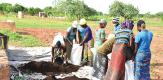 Production du compost au Yatenga : vers une agriculture biologique et durable