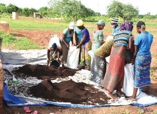 Production du compost au Yatenga : vers une agriculture biologique et durable