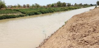 Changement climatique : Il faut restaurer les zones humides