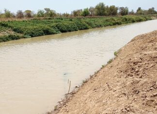 Changement climatique : Il faut restaurer les zones humides