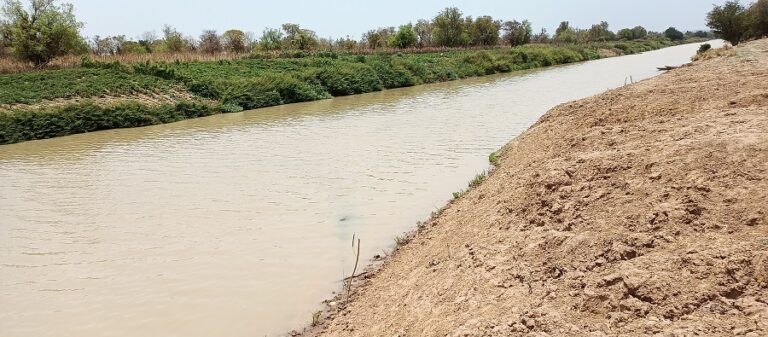 Changement climatique : Il faut restaurer les zones humides