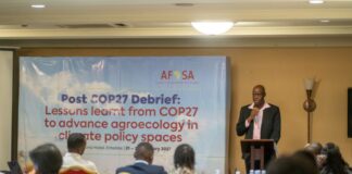 COP27 : La société civile africaine fait le bilan