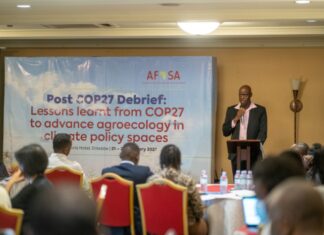 COP27 : La société civile africaine fait le bilan