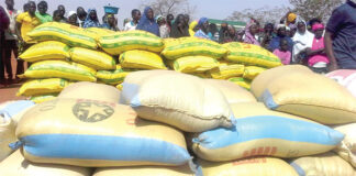 Soutien aux PDI du Nord : le gouvernement fait don de 335 tonnes de vivres