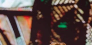 Promotion de la paix : Angela Merkel laureate du Prix Félix Houphouët-Boigny-UNESCO