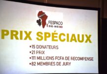 FESPACO/Prix spéciaux: 111 millions FCFA pour les meilleurs films